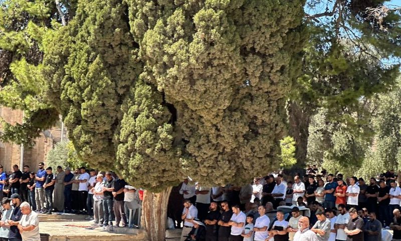عشرات الآلاف يؤدون صلاة الجمعة في المسجد الأقصى المبارك