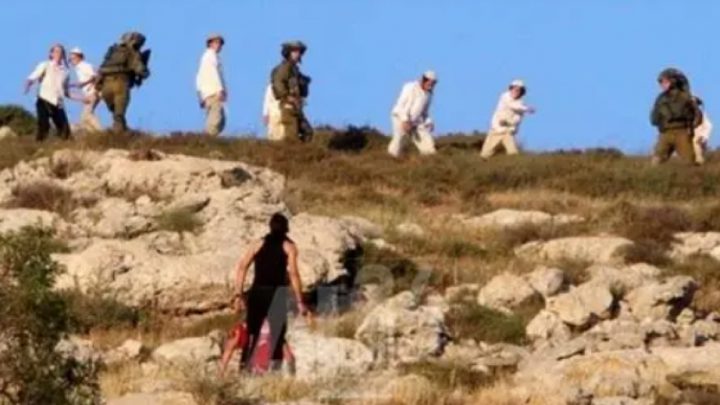 مستوطنون يقتحمون أطراف قرية المغير