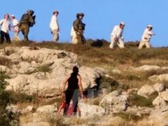 مستوطنون يقتحمون أطراف قرية المغير