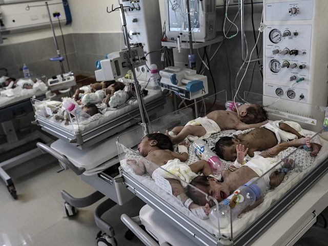 5493 مولودًا جديدًا في غزة خلال آب مقابل 203 حالات وفاة