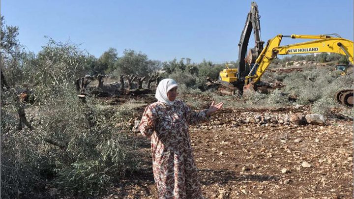 الاحتلال يجرف أراضي ويقتلع أشجار زيتون قرب واد دعوق جنوب جنين