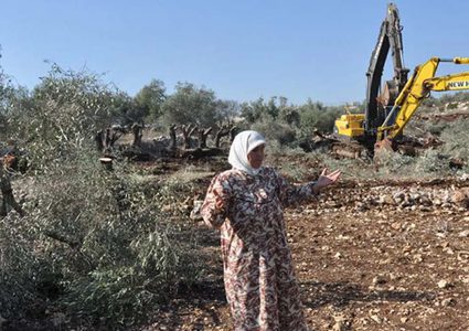 الاحتلال يجرف أراضي ويقتلع أشجار زيتون قرب واد دعوق جنوب جنين