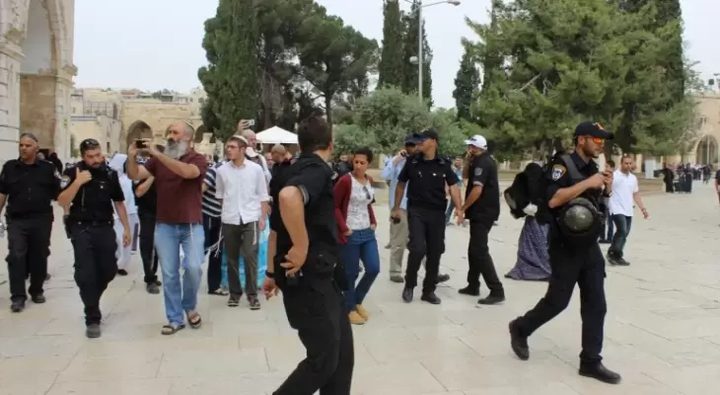 124 مستوطنًا يقتحمون المسجد الأقصى
