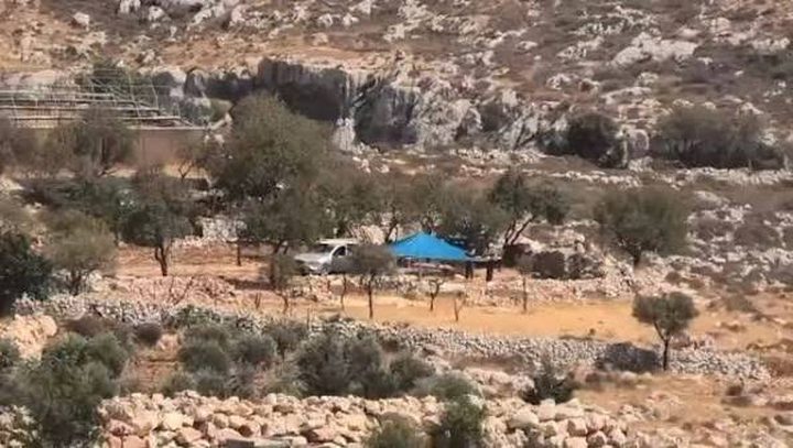 مستوطنون ينصبون خيمة على "جبل القرانع" في دير أبو مشعل