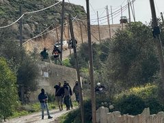 مستوطنون يعتدون على مواطنين ويقطعون أعمدة كهرباء في بيتا وأوصرين