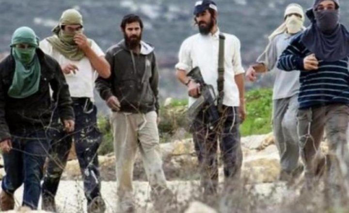 مستوطنون ينقلون أخشابا إلى بؤر غرب المغير