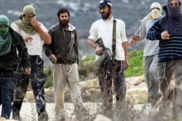 مستوطنون ينقلون أخشابا إلى بؤر غرب المغير