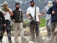 مستوطنون ينقلون أخشابا إلى بؤر غرب المغير
