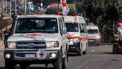 الصليب الأحمر: سهّلنا نقل 12 معتقلا مفرجًا عنهم من كرم أبو سالم إلى مجمع ناصر