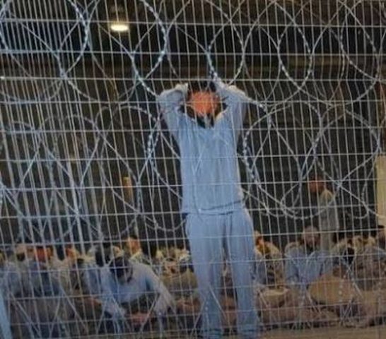 هيئة الأسرى: أسرى النقب يعانون ظروفًا قاسية ويفقدون أوزانهم