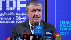 النمسا تمنع رئيس الطاقة الذرية الإيرانية من دخول أراضيها