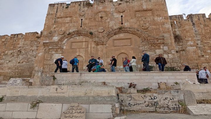 محافظة القدس: جماعات "الهيكل" تمهّد لتحويل باب الرحمة إلى نقطة صلاة يهودية