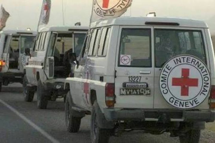 الصليب الأحمر: تسهيل نقل 12 معتقلا أفرج عنهم من غزة إلى مجمع ناصر الطبي