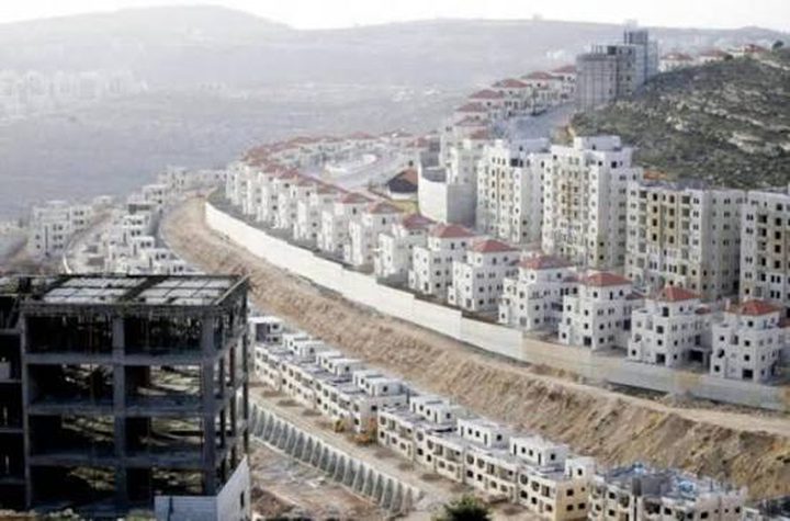 مشروع استيطاني جديد في "معاليه أدوميم" يضم 750 وحدة سكنية