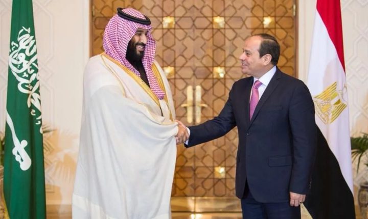 مصر والسعودية تؤكدان ضرورة التوصل إلى تسوية عادلة وشاملة تستند إلى حل الدولتين