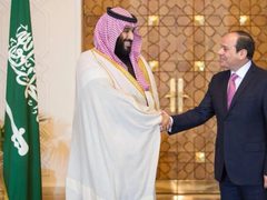 مصر والسعودية تؤكدان ضرورة التوصل إلى تسوية عادلة وشاملة تستند إلى حل الدولتين