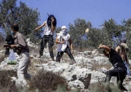 مستوطنون يهاجمون بركسا لتربية الماشية في بيتا