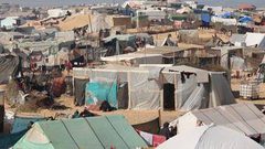 الأونكتاد يستعرض أمام الأمم المتحدة حجم خسائر الاقتصاد الفلسطيني
