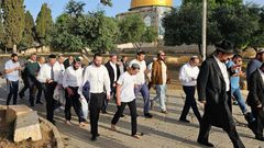 مستوطنون يقتحمون المسجد الأقصى بحماية قوات الاحتلال