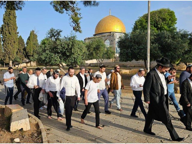 مستوطنون يقتحمون المسجد الأقصى بحماية قوات الاحتلال