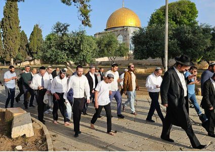 مستوطنون يقتحمون المسجد الأقصى بحماية قوات الاحتلال