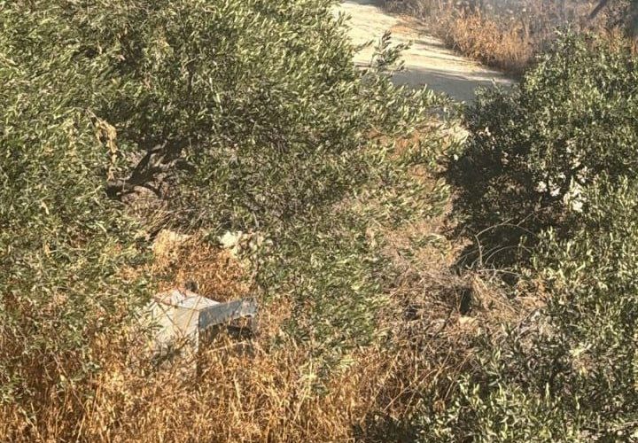 مستوطن يُضرم النيران في أراضي قرية برقا شرق رام الله.