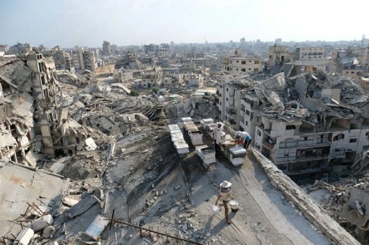 "مجلس السلام" يدعو لهدنة 14 يوما في غزة تمهيدا لنزع سلاح حماس