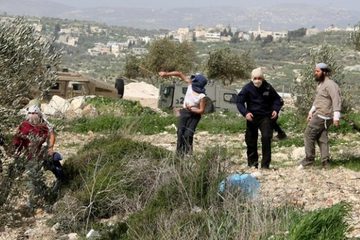 خمس إصابات في هجوم للمستوطنين على عين يبرود