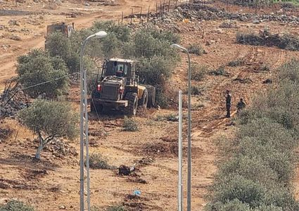 الاحتلال يقتلع عشرات أشجار الزيتون في جبع شمال شرق القدس