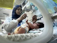 أجنّة غزة.. صرخاتٌ مشوّهة