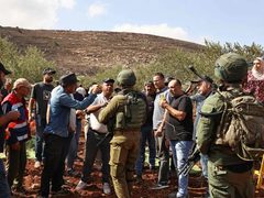 مستوطنون بحماية جيش الاحتلال يسرقون عشرات المواشي في سلواد