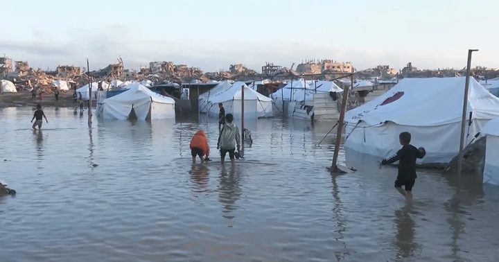 شبكة المنظمات الأهلية في قطاع غزة: أكثر من 75% من خيام النازحين تالفة
