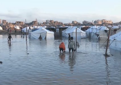 شبكة المنظمات الأهلية في قطاع غزة: أكثر من 75% من خيام النازحين تالفة