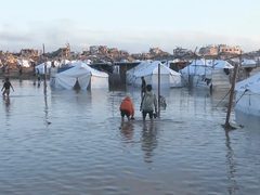شبكة المنظمات الأهلية في قطاع غزة: أكثر من 75% من خيام النازحين تالفة