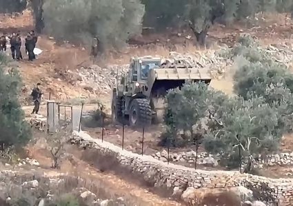 الاحتلال يقتلع أكثر من 400 شجرة زيتون في بيت ريما