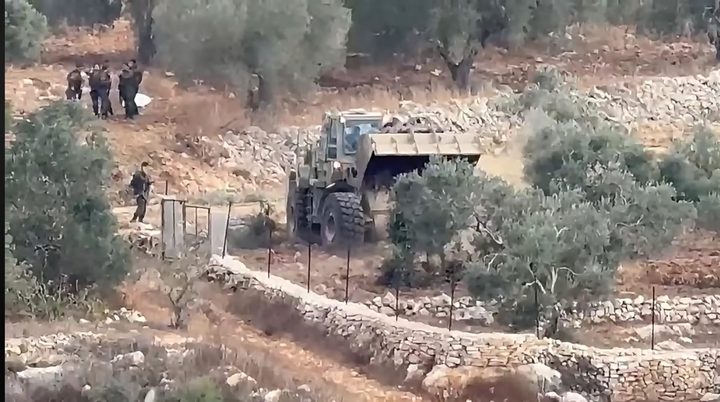 الاحتلال يقتلع أكثر من 400 شجرة زيتون في بيت ريما