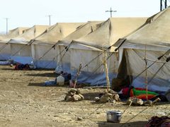 الأمم المتحدة: أكثر من 117 مليون نازح في العالم بسبب الصراعات والعنف