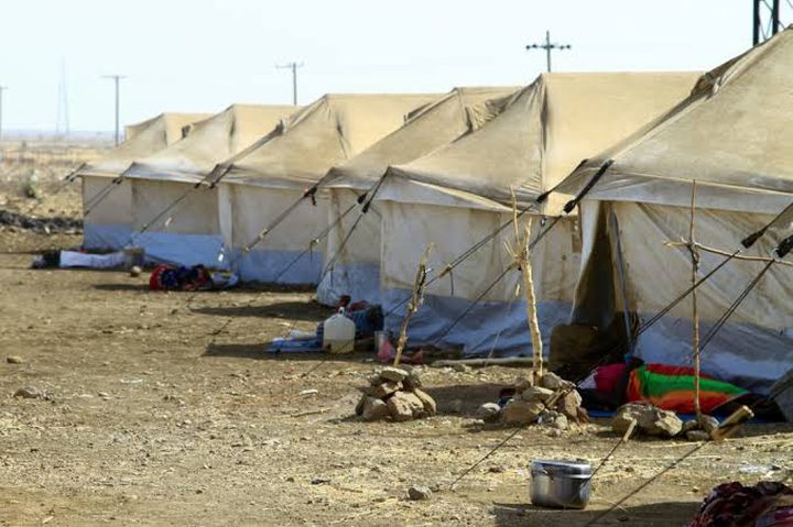 الأمم المتحدة: أكثر من 117 مليون نازح في العالم بسبب الصراعات والعنف
