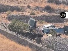 مستوطنون يطلقون مواشيهم في أرض زراعية ببرقا شرق رام الله