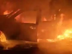 مستوطنون يسرقون ثمار زيتون في سنجل وترمسعيا ويحرقون مركبة في دير أبو مشعل