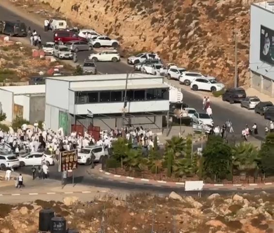 أعداد كبيرة من المستوطنين تقتحم بيتونيا وطريق جريوت غرب رام الله