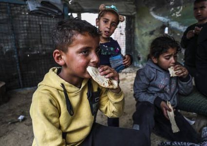 خبز "الغذاء العالمي" في "كرش" السوق السوداء.. تتبعٌ يكشف الطريق