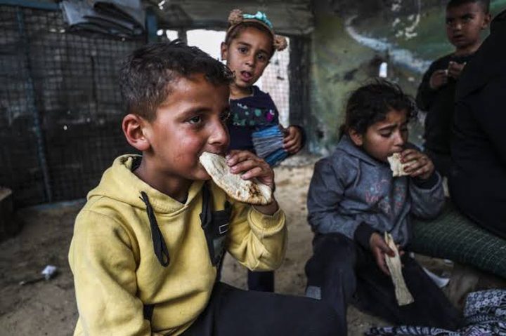 خبز "الغذاء العالمي" في "كرش" السوق السوداء.. تتبعٌ يكشف الطريق