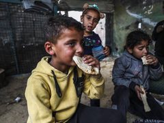 خبز "الغذاء العالمي" في "كرش" السوق السوداء.. تتبعٌ يكشف الطريق