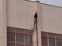 الاحتلال يقتحم مدرسة قرية جبارة الأساسية جنوب طولكرم