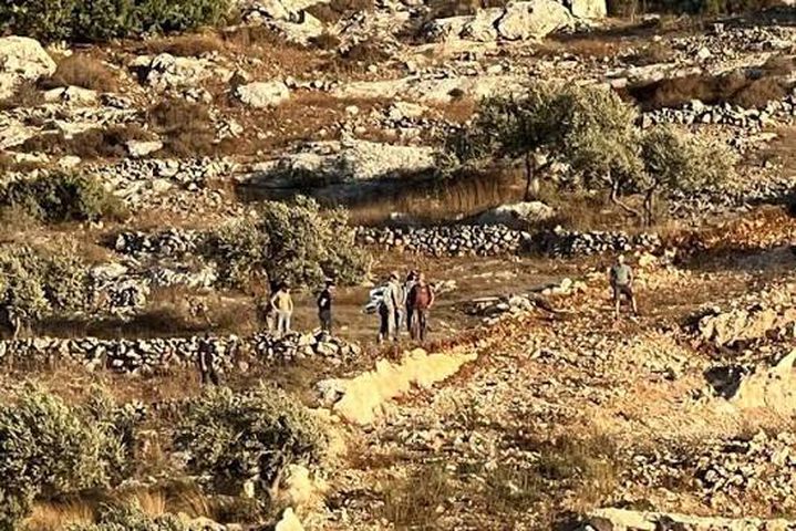 إصابتان واعتقال عدد من المواطنين خلال هجوم للمستوطنين على ياسوف شرق سلفيت