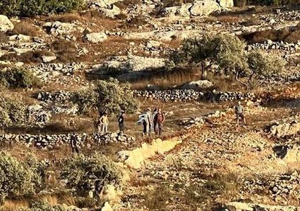 إصابتان واعتقال عدد من المواطنين خلال هجوم للمستوطنين على ياسوف شرق سلفيت