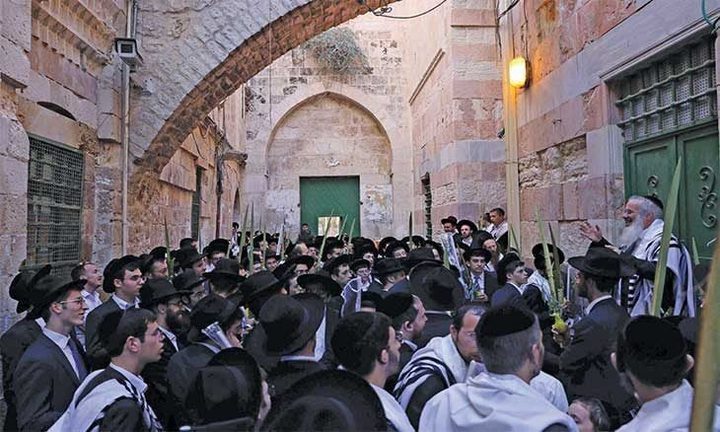 مئات المستوطنين يقتحمون الأقصى في سادس أيام "عيد العرش"