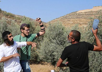 مستوطنون يهاجمون مزارعين خلال قطف الزيتون في أودلا جنوب نابلس