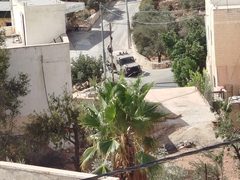 مستوطنون يهاجمون منازل المغير ويستولون على مركبة